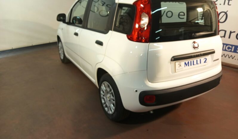 Pandina Hybrid Km0 pieno